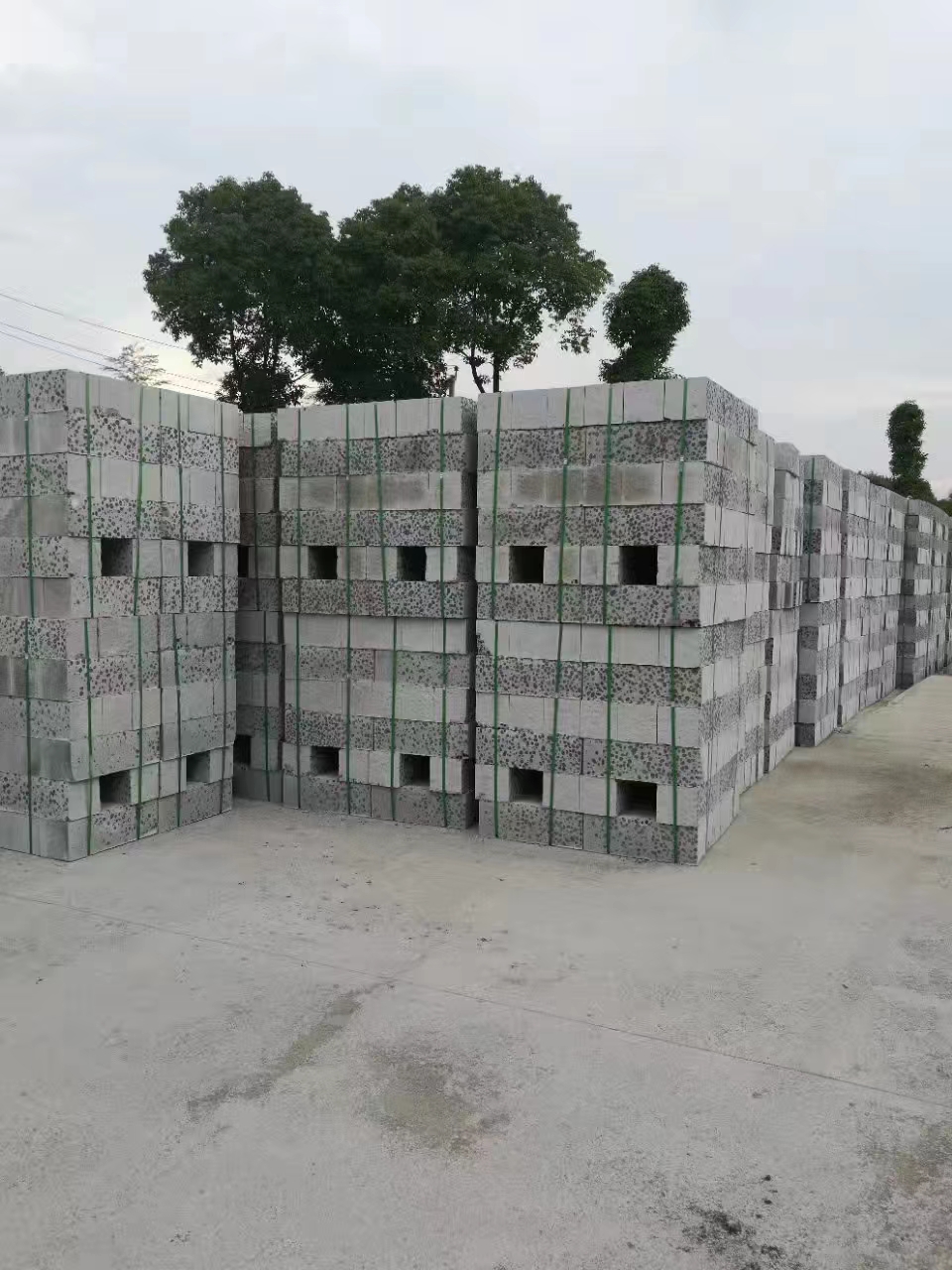 成品10